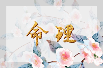 日历查询 农历|农历阴历查询年|农历2026年日历表